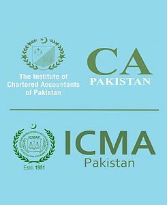 AWARD IMAGE OF CA AND ICMA